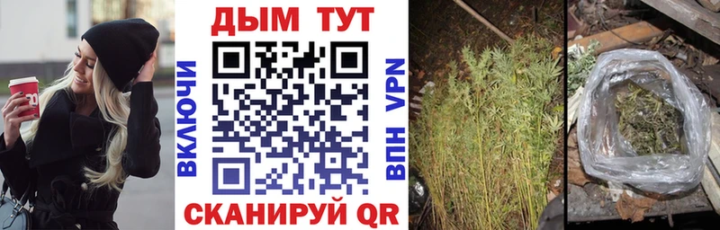Бошки марихуана White Widow  купить закладку  Сясьстрой 